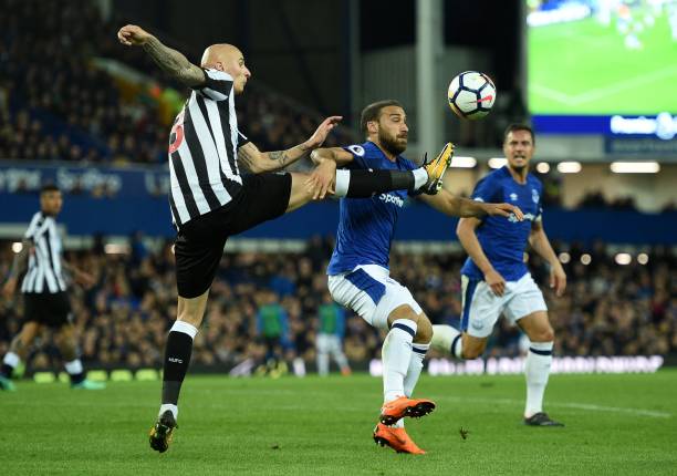 的心理韧性 的心理韧性